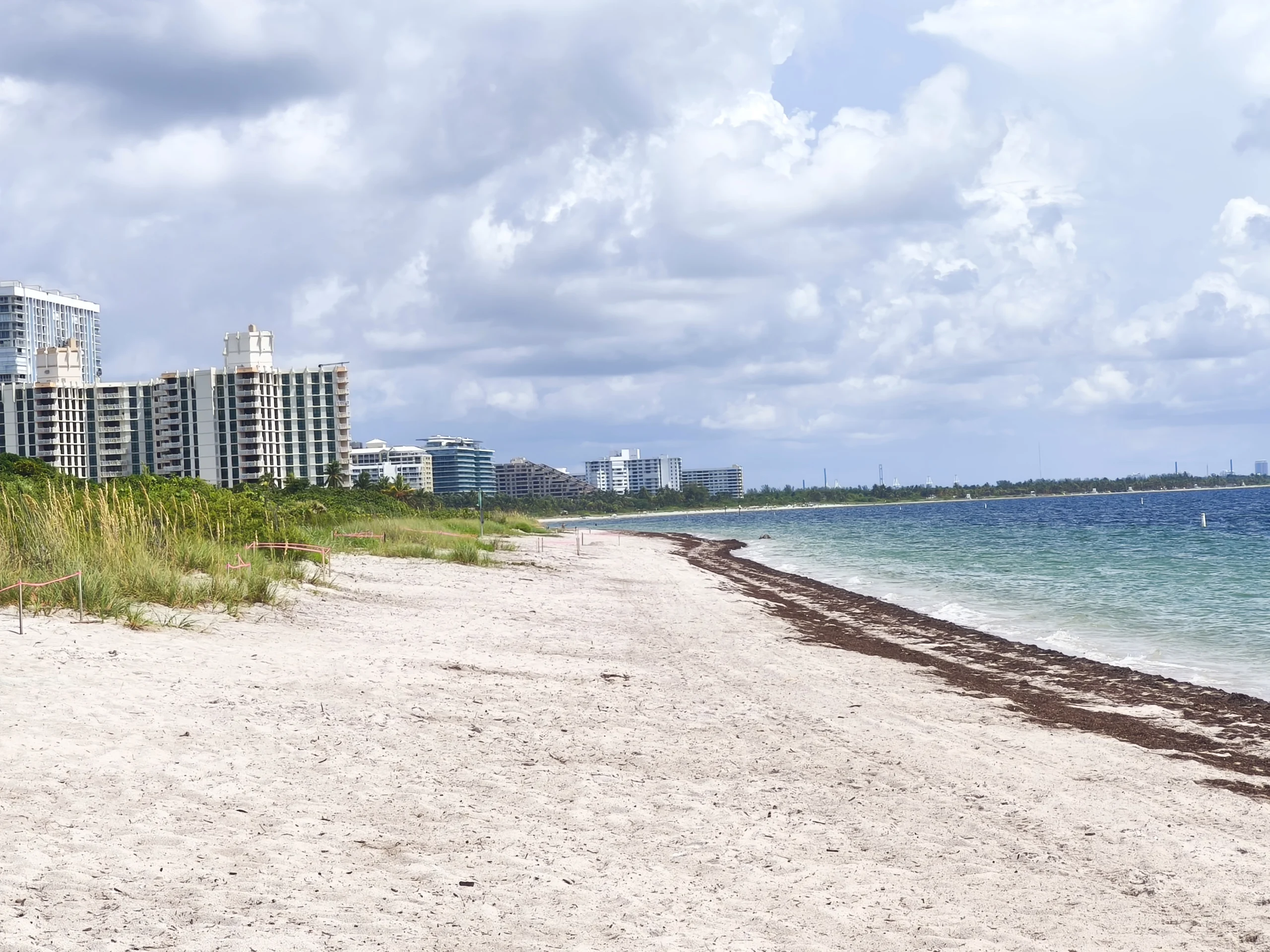 Miami, el destino reinventado con innovación y sostenibilidad